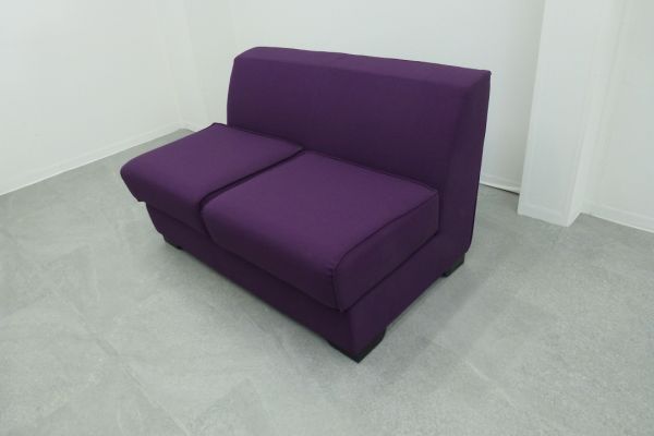 TRUE DESIGN 2人掛け用ソファ パープル 2人掛け用ソファ パープル