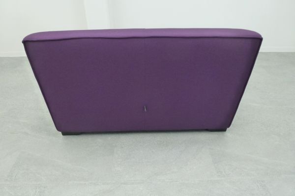 TRUE DESIGN 2人掛け用ソファ パープル 2人掛け用ソファ パープル