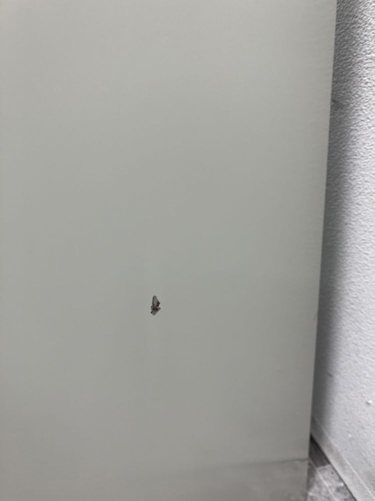 PLUS/プラス A4クリアケース書庫  A4クリアケース書庫 